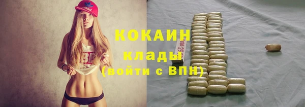 гидра Кукмор